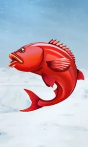 Ice Fishing