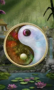 Panda Money